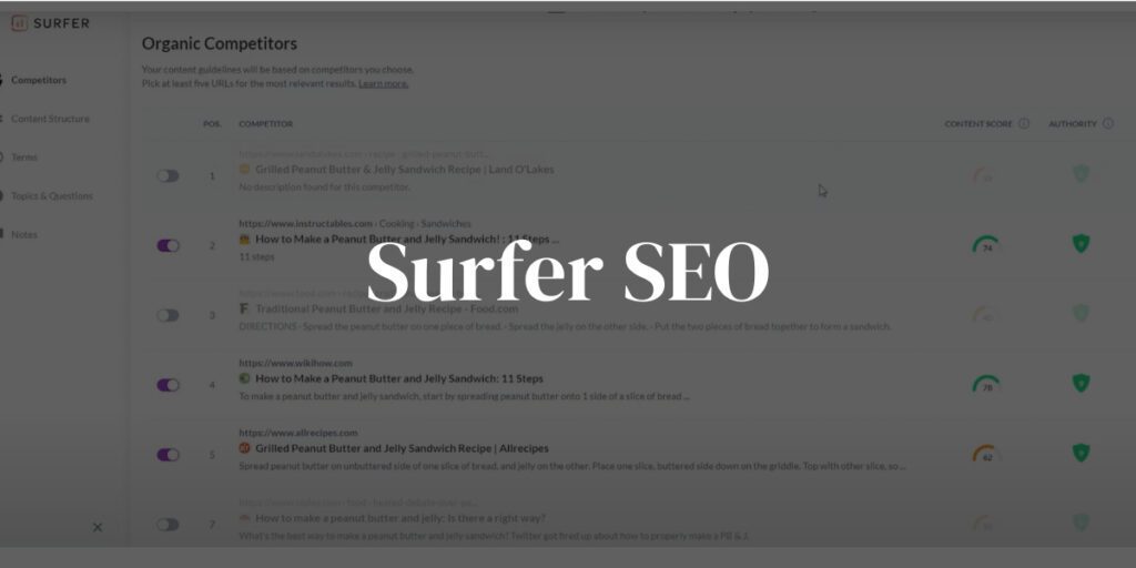 Surfer SEO